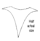 Shape of spur